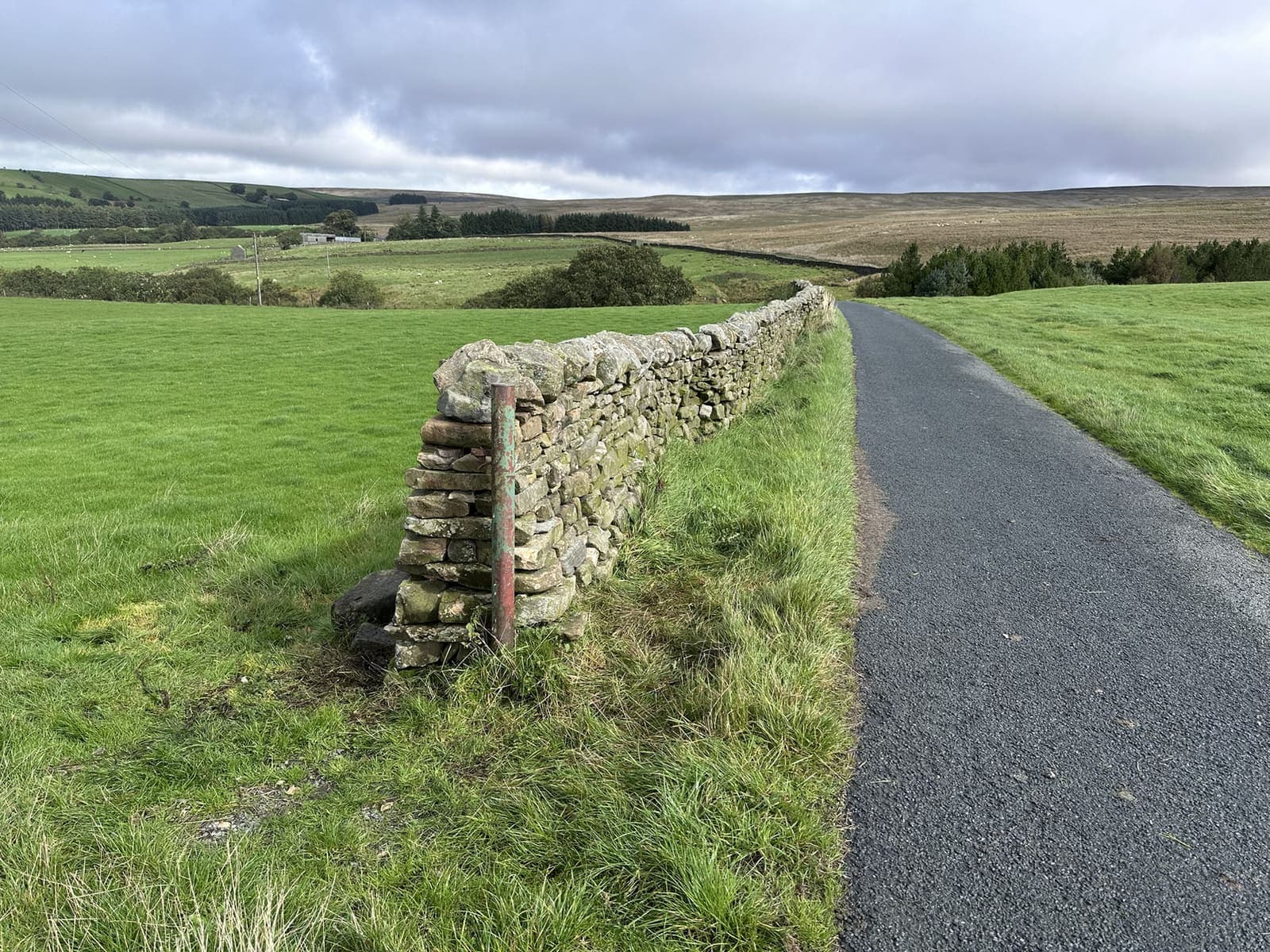 Completed dry stone wall beside a field gate in Lancashire countryside