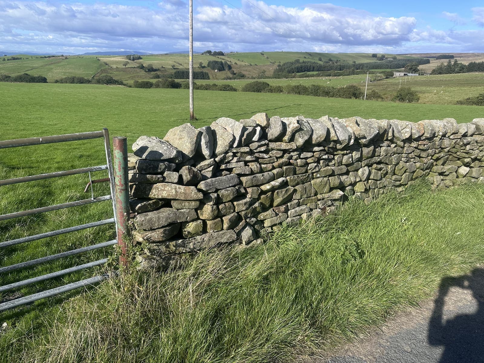 Damaged dry stone wall beside a field gate before rebuilding