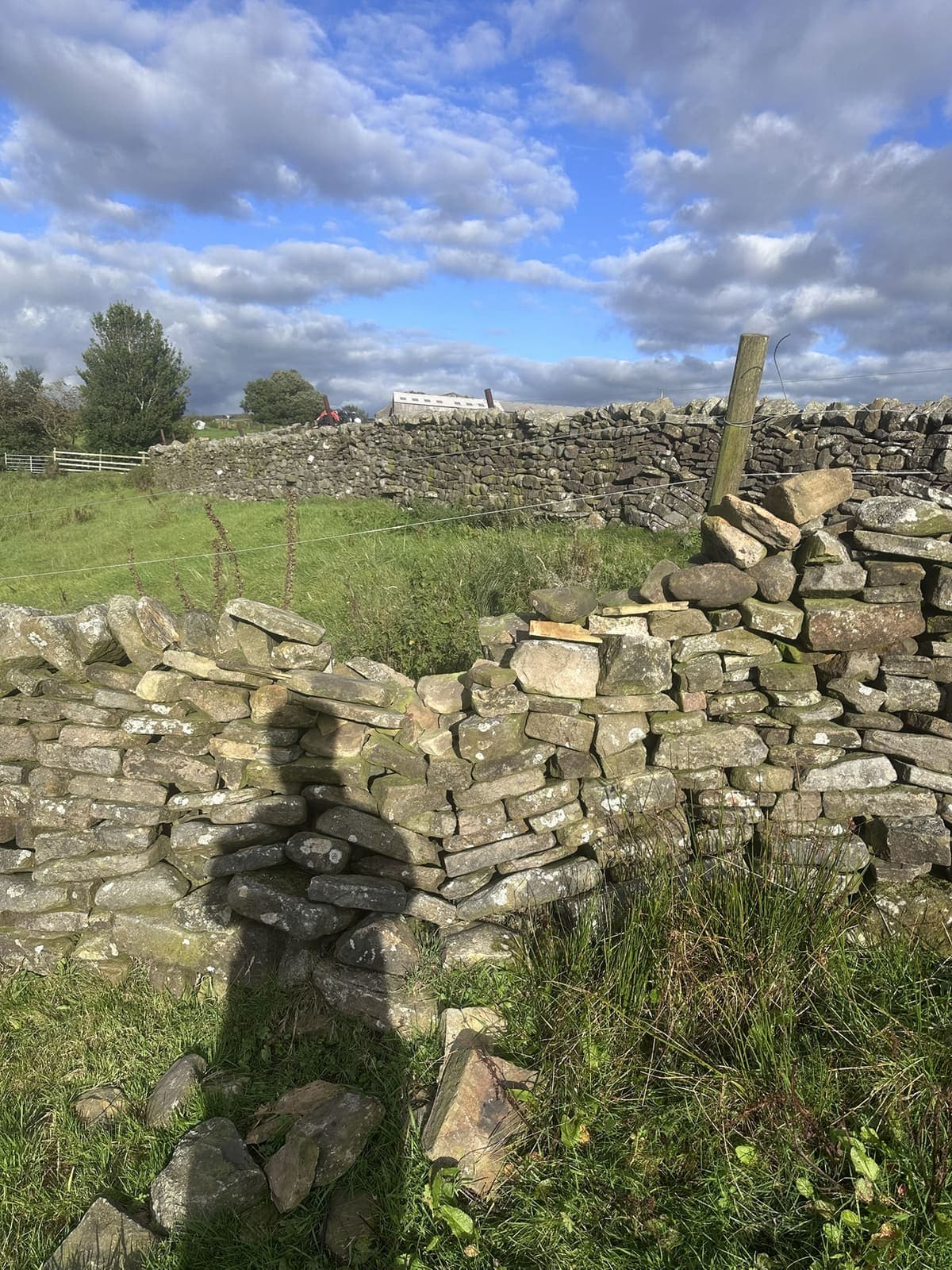 Gap in drystone wall