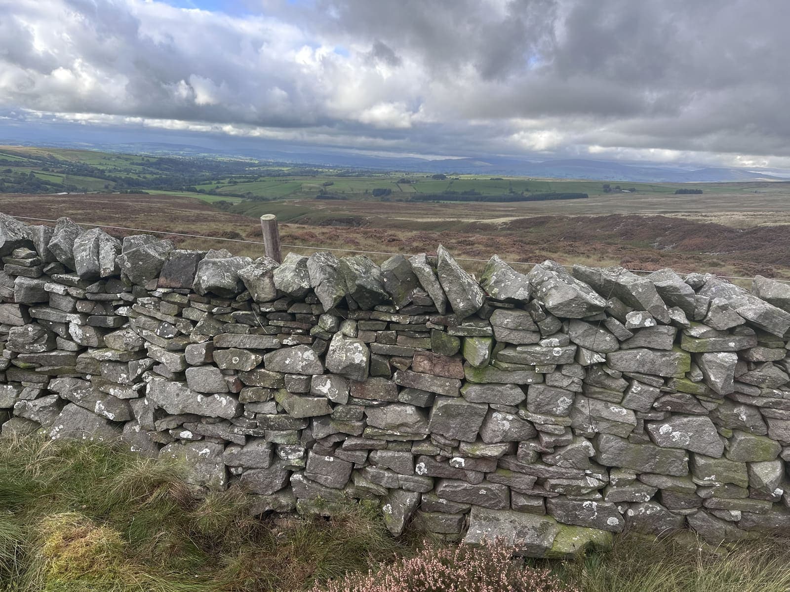 Restored fell wall
