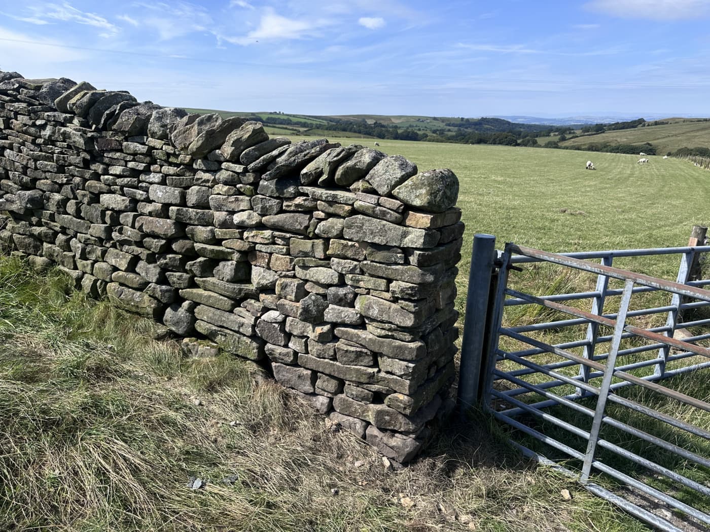 Completed dry stone wall beside a field gate in Lancashire countryside