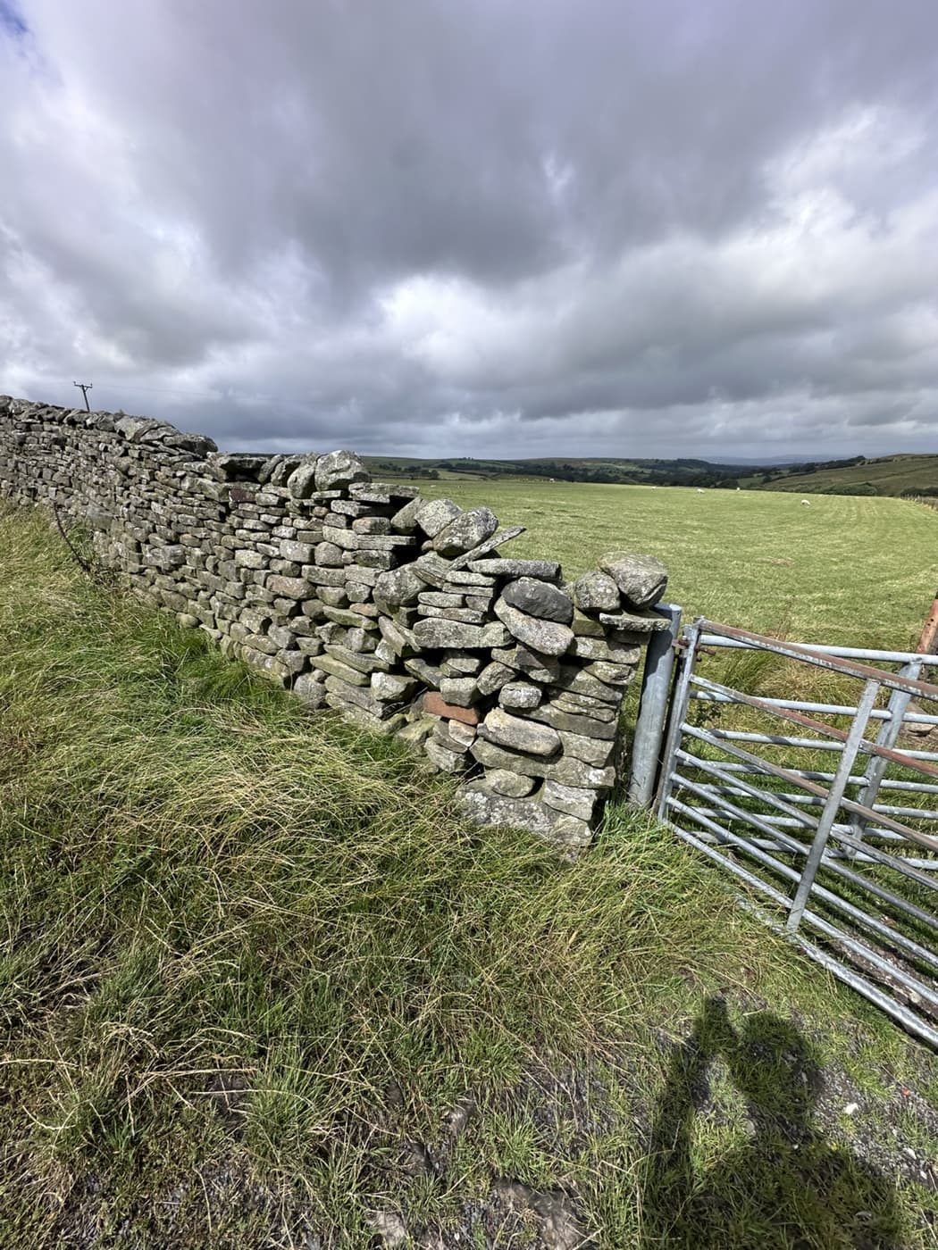 Damaged dry stone wall beside a field gate before rebuilding